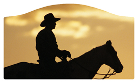 DASHELL-360-BZ Cowboy Bronze